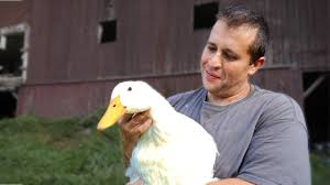 Peking duk, an australian music duo; The Reason Why Male Ducks Don T Quack Youtube