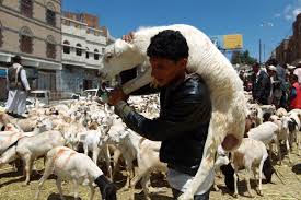 Image result for eid al adha