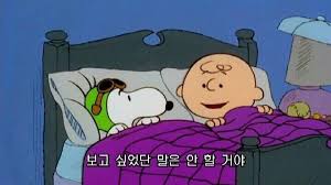 스누피 짤모음 위로글귀 사랑글귀 스누피글귀 명대사 1탄 네이버 블로그 스누피 찰리 브라운 배경화면