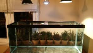Red Eared Slider Turtle Tank Setup Full Guide All Turtles