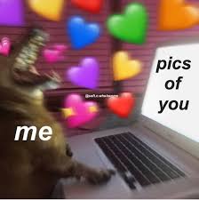 Cute Love Heart Relationship Memes Images Viral Memes ~ t a g s ~ #wholesome #wholesomememe #hearts relationship memes. cute love heart relationship memes