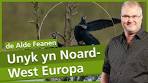 DE MAITIIDSSWALKER - Alde Feanen - YouTube