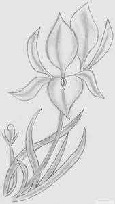 Trandafirul este considerat floarea iubirii având un parfum îmbietor şi care cucereşte zilnic inimile femeilor. Desen Creion 1283630124 Desene In Creion Cu Flori Deeascumpik