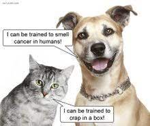 Early detection can be the best way to save your beloved companion. Dogs Can Smell Cancer