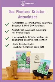 Krauter Anzuchtset In 2020 Krautergarten Anlegen Mini Gewachshaus Anzuchtset