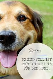 Physiotherapie Fur Den Hund Sinn Oder Unsinn Hunde Hundegesundheit Gesunde Hunde