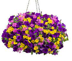 Often used in flower beds, the venue, theatre, layout design, also can be used as a basket. Greenhouse Tennies Hardware