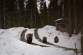 Patrick Junker & Jonathan Terlinden