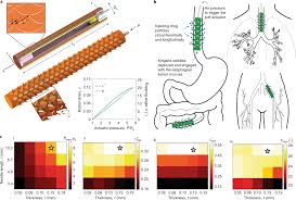 Cook medical inc., www cookmedical.com. Kirigami Inspired Stents For Sustained Local Delivery Of Therapeutics Nature Materials