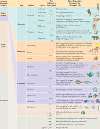 Geologic Time Scale 8th Grade Science