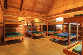 Image result for Kampochloa