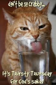 Hold tight, it might be thursday at this time yet advise yourself that tomorrow is to be sure friday. Funny Thirsty Thursday Quotes Shefalitayal