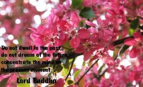 enlightenment-quote.jpg via Relatably.com