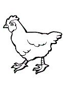 No response for food coloring pages roast chicken y45cv. Chicken Coloring Pages And Printable Activities