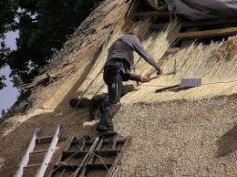 Pentru a putea planifica până în cele mai mici detalii bugetul de la bun început, va trebui să ții cont de o serie de factori care să te. AcoperiÈ™ Din Stuf Montaj Avantaje È™i Dezavantaje CerinÈ›e Pentru EficienÈ›Äƒ MaximÄƒ Revista Din Lemn