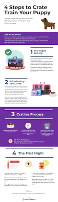 4 Steps To Crate Train Your Puppy Simple Secret In 2021 Crate Training Training Your Puppy Crate Training Puppy