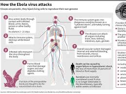Korban Jiwa Akibat Ebola di Kongo Menjadi 322