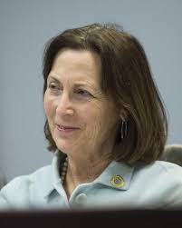 Local opioid proposals may have future despite passed deadline