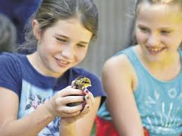 Riverdale's Ag Day teaches kids about farming