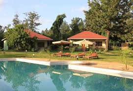 The land of wild,peace and multi African View Lodge Arusha Tansania Reisen Individuelle Camps Und Lodges In Tansania Outback Afrika Erlebnisreisen