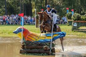 Als reservist wurde andreas dibowski mit frh corrida nominiert. Osterreich Bekommt Zweiten Startplatz Fur Olympische Vielseitigkeit