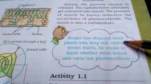 Nutrition In Plants Chapter 1 Of 7th Class Science Ncert Youtube