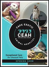 Above on google maps you will find all the places for request pet hospitals near me. Exciting News On 1 March Cape Exotic Animal Hospital Facebook