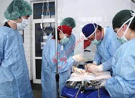 Rezultate admitere medicină veterinară 2015 listă admiși medicină. Admitere 2017 Oferte Generoase La Medicina Veterinara SÄƒnÄƒtatea BuzoianÄƒ