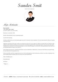 Professioneel Curriculum Vitae Grijs Wit