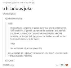 Lol So Un Deux Trois Quatre Cinq Means One Two Three Four Five And It Sounds Like The Un Deux Trois Cat Sank Catsfunnytumblr Funny French Hilarious Jokes