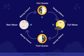 The lunar phase or moon phase is the shape of the moon's directly sunlit portion as viewed from earth. Moon Phases Infographic All 8 Phases Of The Moon