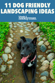 13 Dog Friendly Landscaping Ideas In 2020 Dog Friendly Backyard Dog Friends Dogs