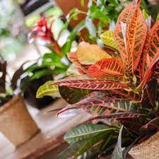 Same day delivery · from $19.99 · 20% off all items Humphreys Flowers 10 Photos 12 Reviews Florists 1220 Mccallie Ave Chattanooga Tn Phone Number Yelp
