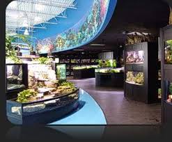 Bolingbrook Illinois Aquarium Store Store Design Design