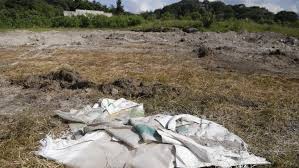 Maybe you would like to learn more about one of these? 44 Dead Bodies Found In Mexico Well Vatican News