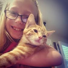 Is anyone missing an orange kitty? He's safe inside my house.