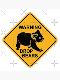 Warning - Drop Bears - Funny Koala Road ...