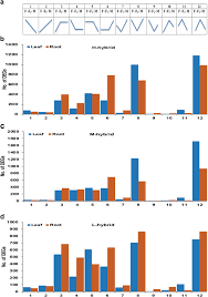 During the course of writing this blog, i've gotten a tremendous amount of great advice from all of you. Comparative Transcriptome Analysis Of Inbred Lines And Contrasting Hybrids Reveals Overdominance Mediate Early Biomass Vigor In Hybrid Cotton Bmc Genomics Full Text