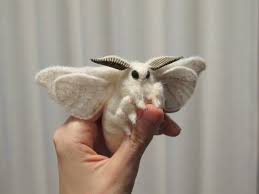Arthur anker 2 in the gran sabana region of venezuela. I C O ã‚¤ã‚³ Venezuelan Poodle Moth Facebook