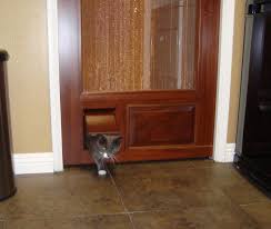 Pin By Pet Friendly Planning On Pet Friendly Home Cat Door Wooden Back Doors Wood Screen Door