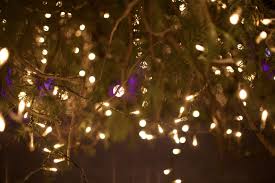 Background Bokeh Christmas Christmas Decoration Christmas Lights Dark Deep G Background Hd Wallpaper Background Images Wallpapers Wallpaper Backgrounds