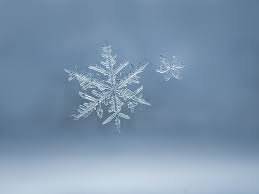 How To Take Macro Pictures Of Beautiful Snowflakes Download hd snowflake photos for free on unsplash. take macro pictures of beautiful snowflakes
