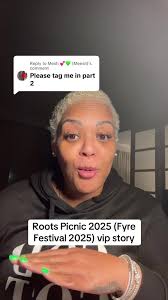 Roots Picnic 2025 Vip Entrance