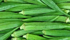 Okra Companion Plant Sportsnewsdaily Site