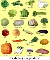 Food And Cooking Spanish Food Vocabulary Vegetable Pictures Vegetables