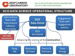Management And Organizational Bodies Guiding The Dco Data
