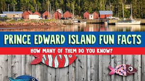 Think you know a lot about halloween? How Much Do You Know About Newfoundland And Labrador Explore Awesome Activities Fun Facts Cbc Kids