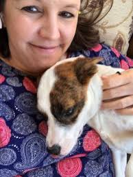 Alabama animal shelters still