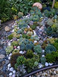 Pflanzen Garten Pinterest Sukkulentengarten Sukkulenten Und Garten Diy Gart Succulent Garden Design Rock Garden Landscaping Succulent Landscaping