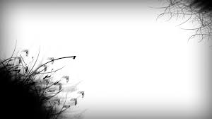 This includes blogs, websites, apps, art or other commercial use cases. White Backgrounds Hd Wallpapers Wallpaper Cave